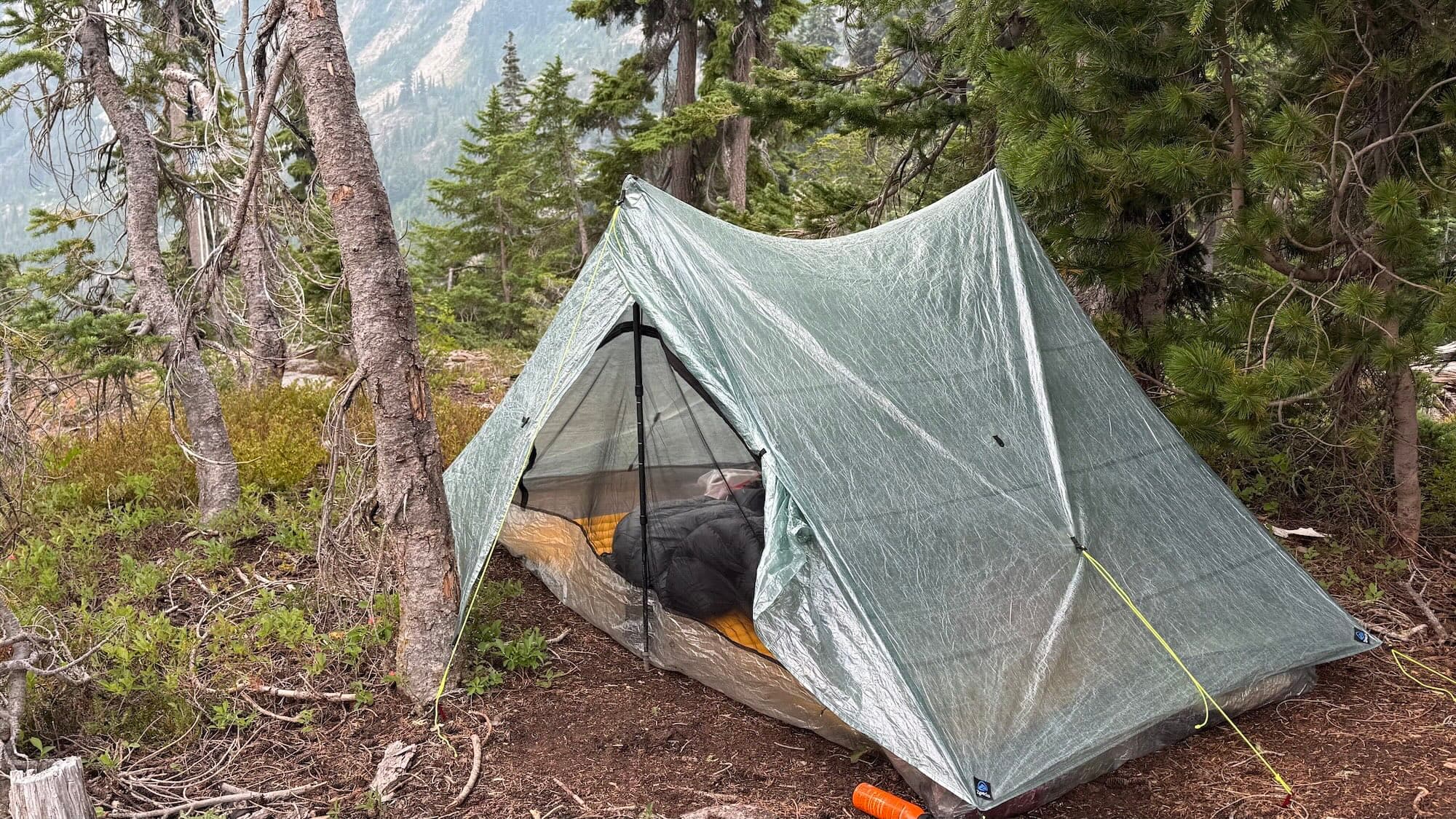 The Zpacks Duplex tent pitched with trekking poles among subalpine trees, the quilt and pad visible inside