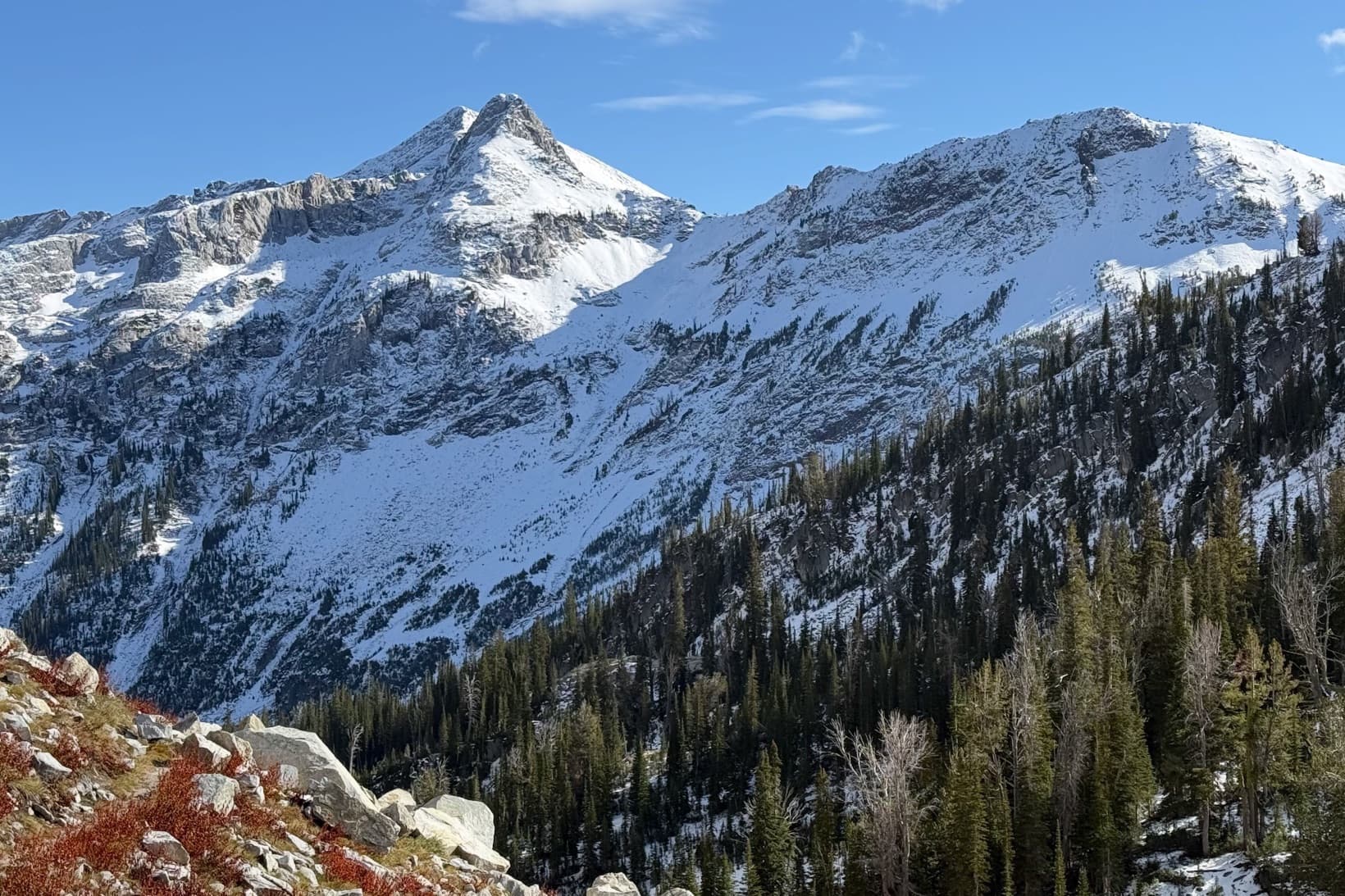 PHOTO: looking up from the valley trail at the high ridgeline in the Eagle Cap the route aims to travel