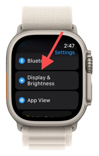 Display & Brightness in Watch Settings