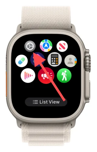 The Settings app on the Apple Watch home screen