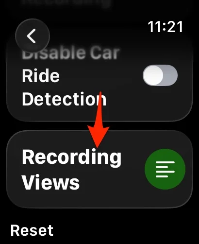 Recording Views in the recording settings, below Disable Car Ride Detection