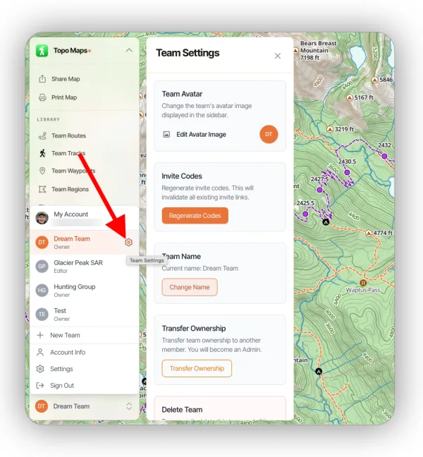 The Team Settings panel opened from the settings icon next to the active team