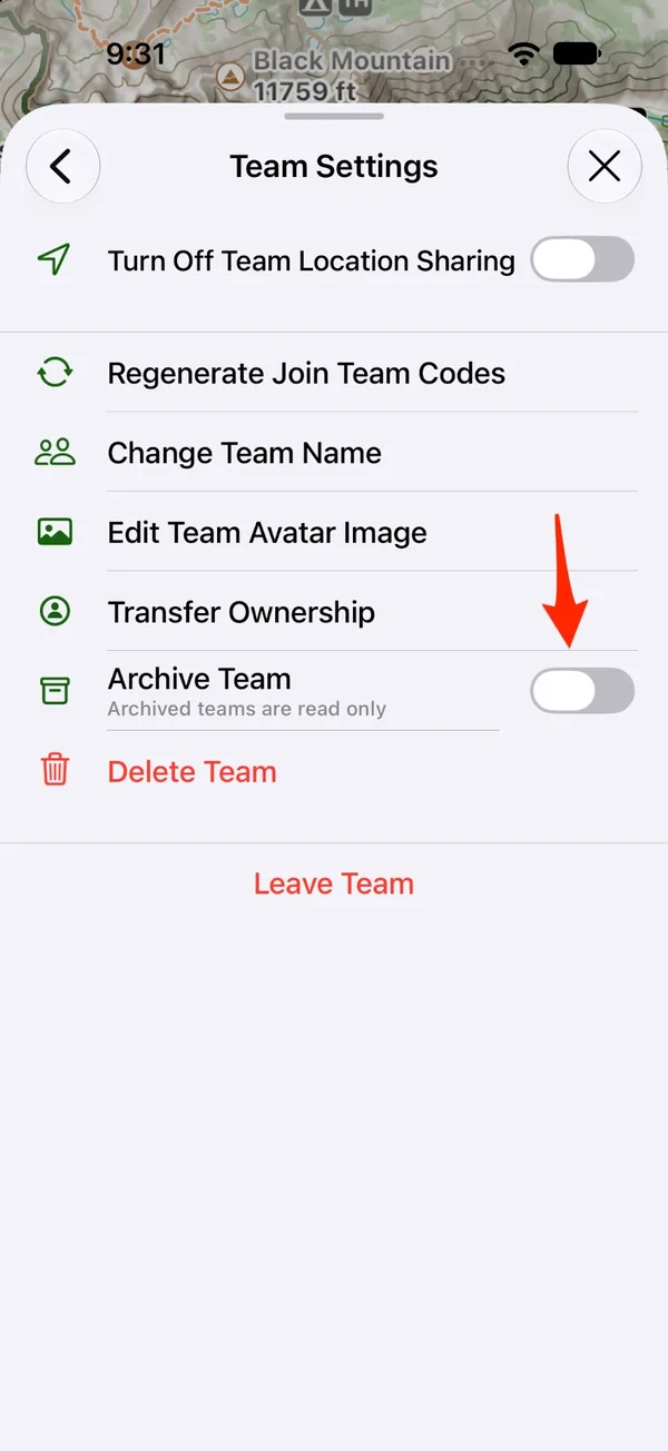 Team Settings with the Archive Team switch above Delete Team