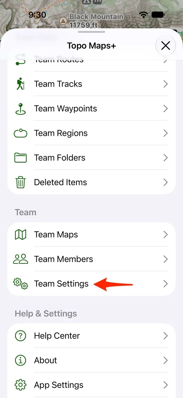 Team Settings in the Team section of the menu