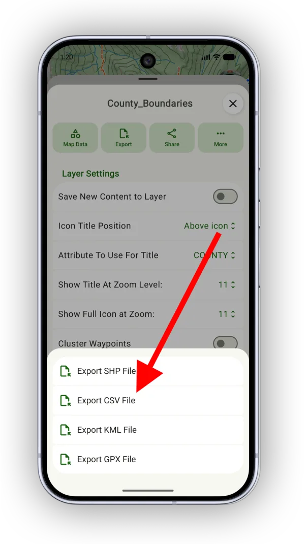 Export CSV File in the export options