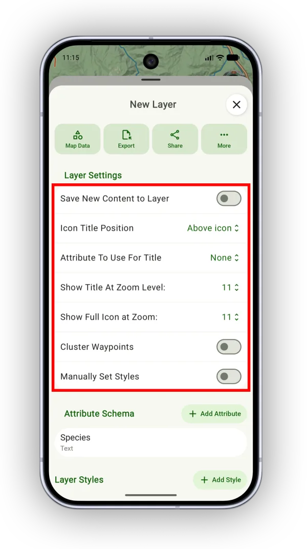 Layer settings at the top of a data layer
