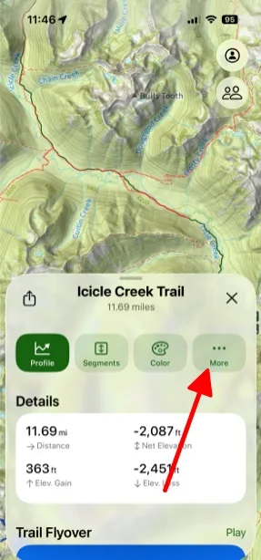 The More button on a route's info card