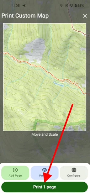 The Print button below the print area
