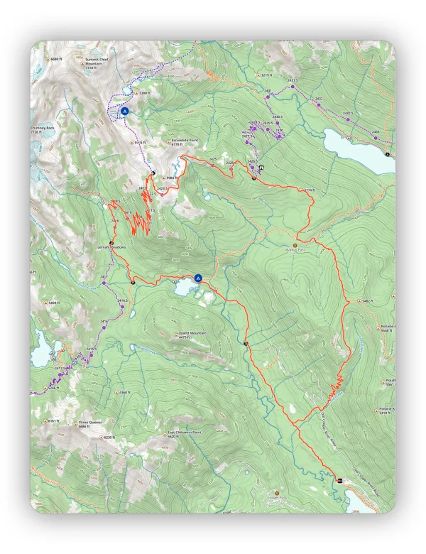 A printed map with no collar