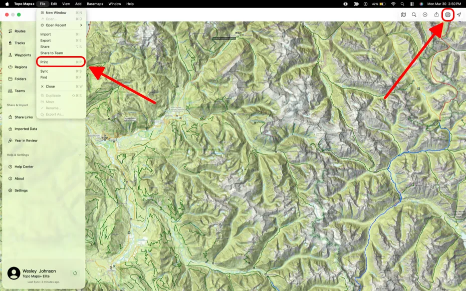 Print in the File menu and the Print icon on Mac