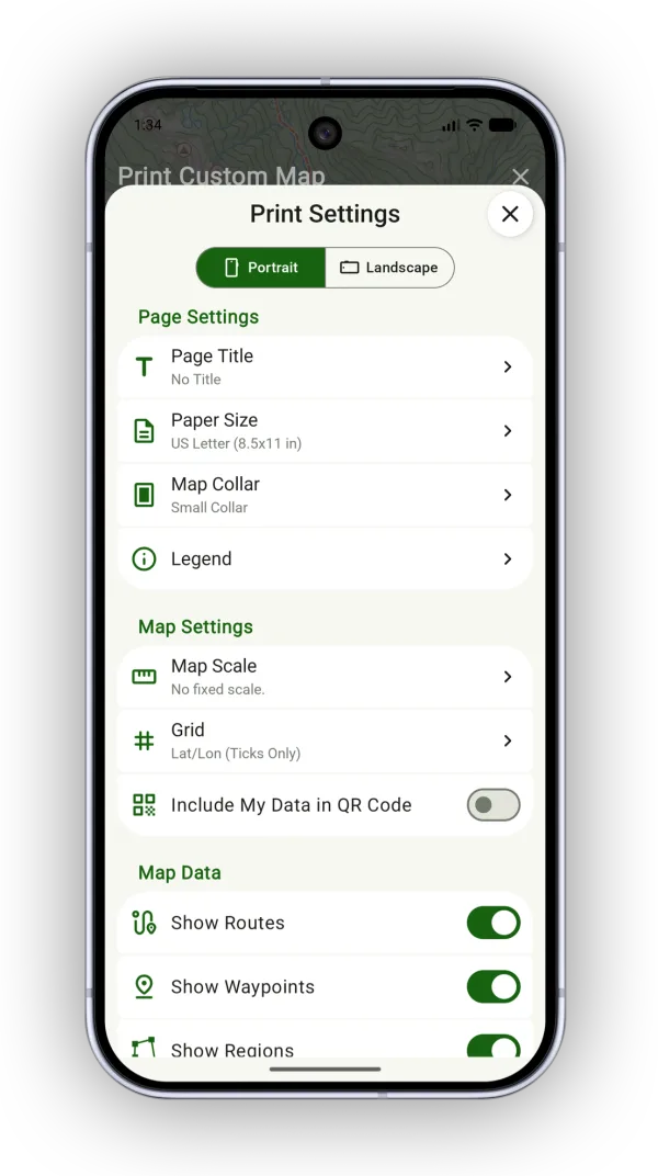Print Settings with page and map options
