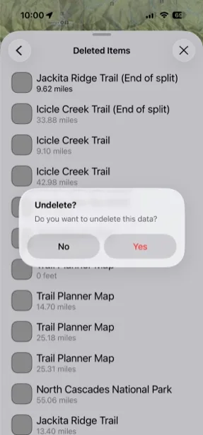 Confirming that you want to undelete an item