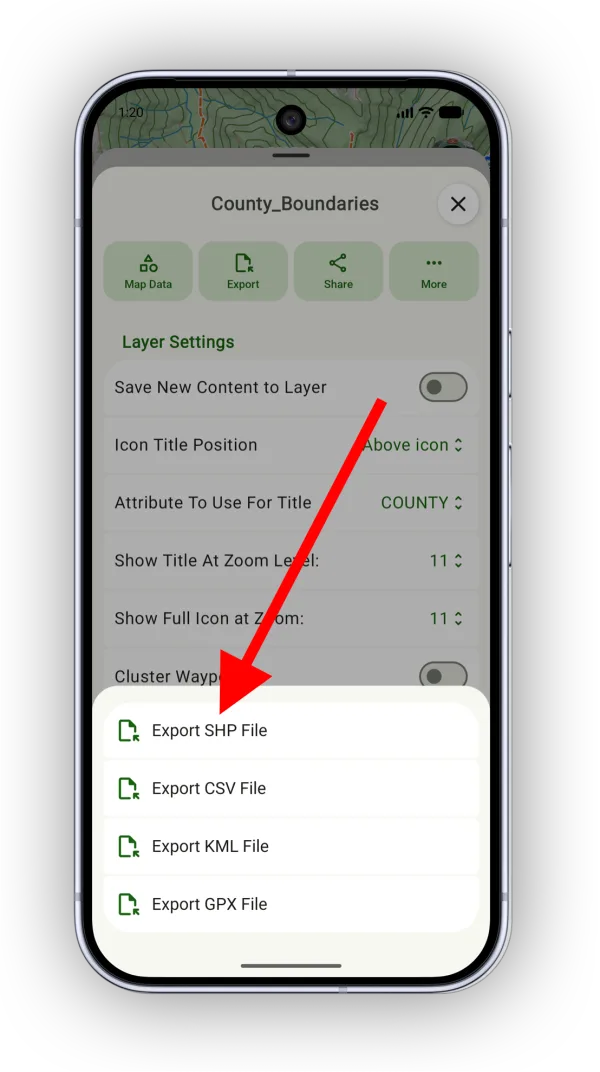 Export SHP File in the export options