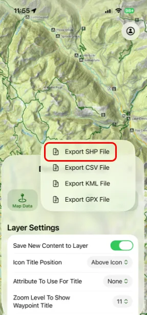 Export SHP File in the export options