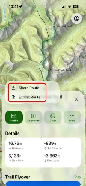 The Share option on an item's details